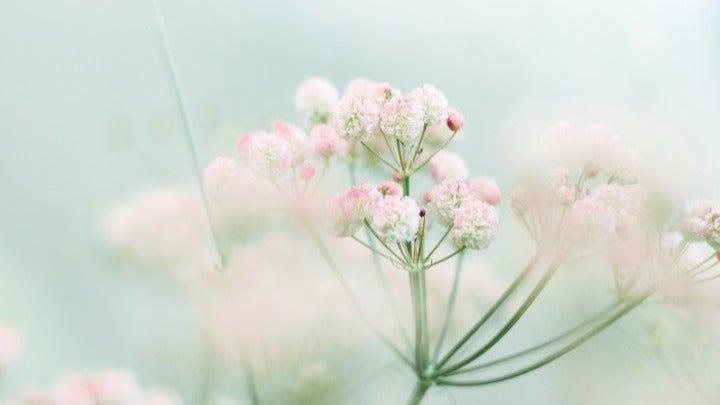 Risveglio Primaverile: Una Guida alla Seasonal Living | Marzo