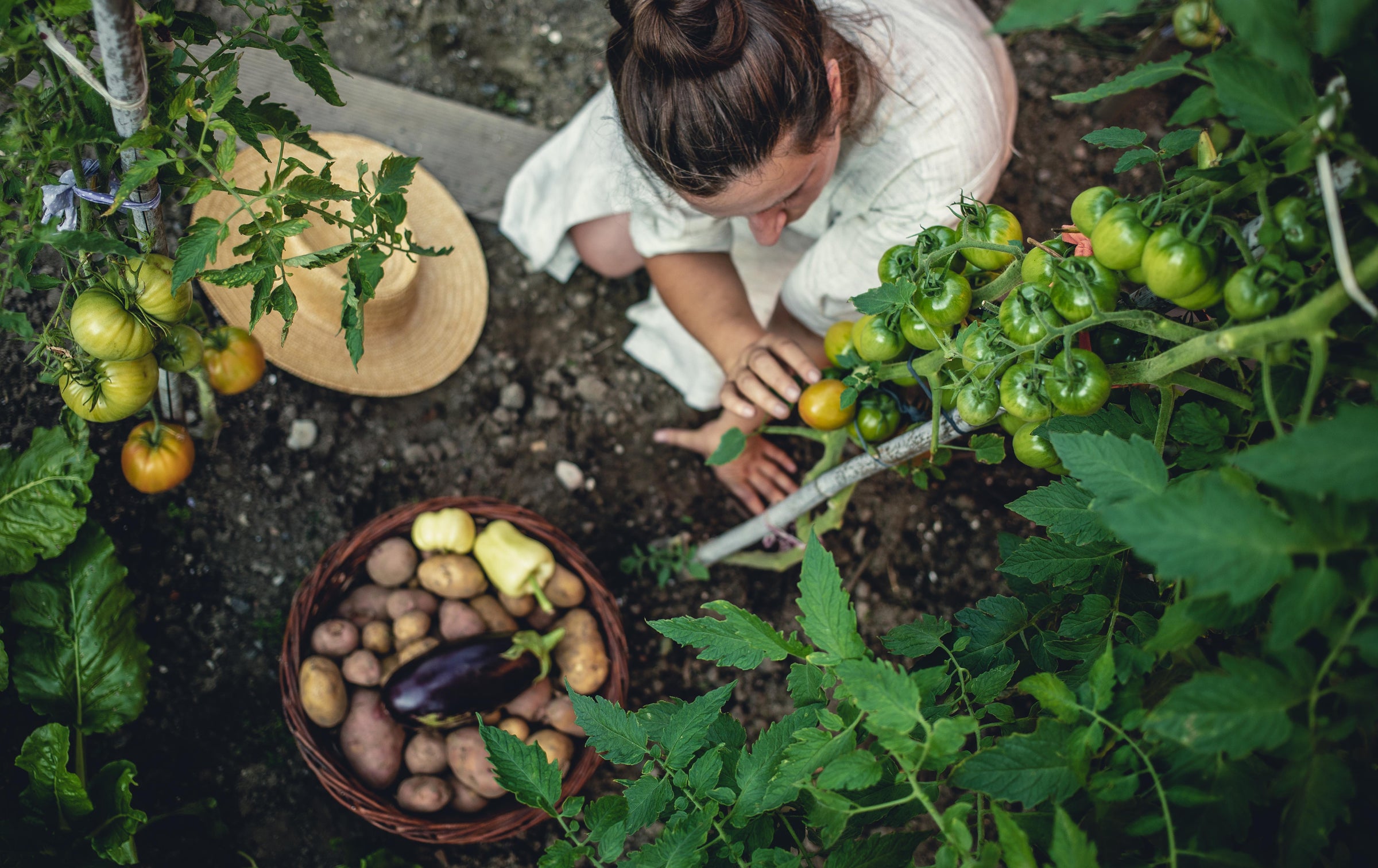Giardinaggio