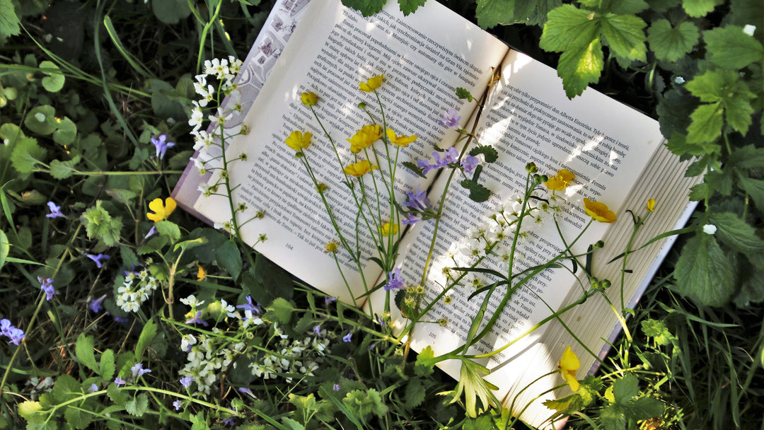 Slow Reading