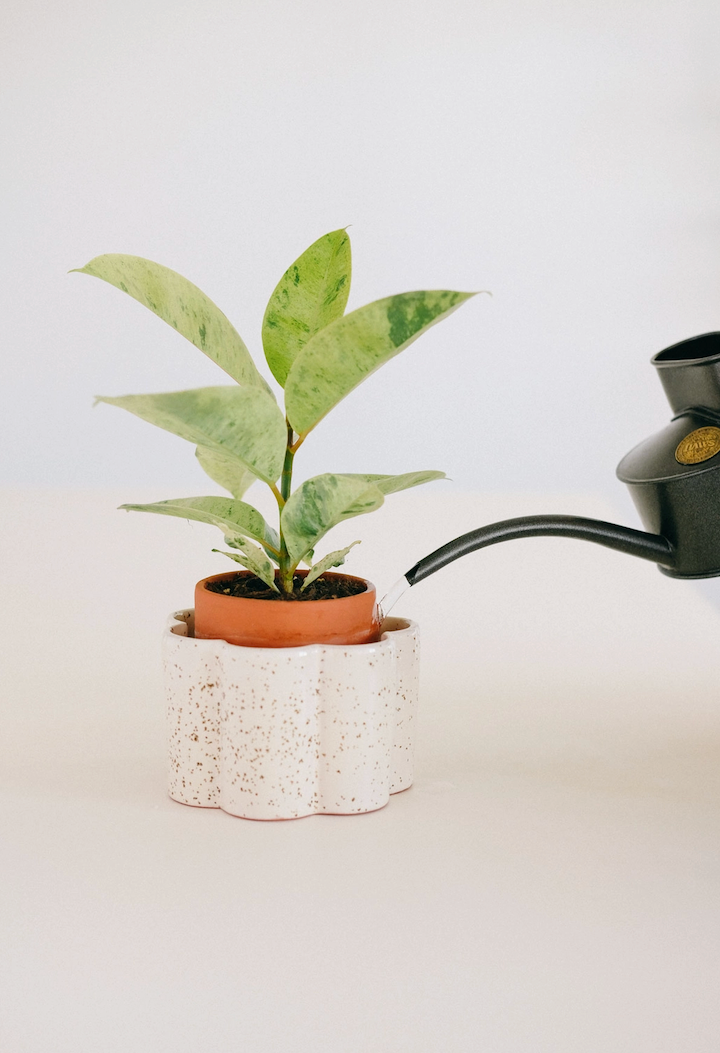 Vaso Autoirrigante | Speckled White