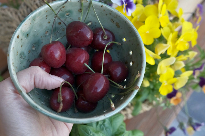Handmade Berry Colander