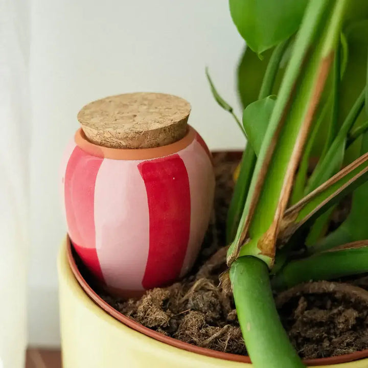 Olla - A righe rosa e rosse