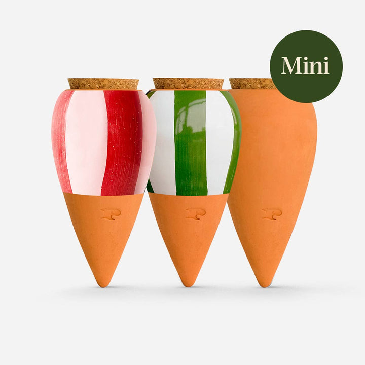 Box Trio Mini Ollas - le Striate