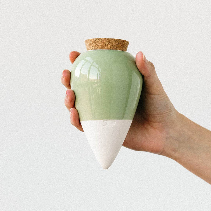 Sistema di Irrigazione Olla